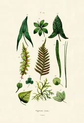 Planter, 1833-39